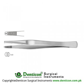 Lane Dissecting Forceps 1 x 2 Teeth Stainless Steel, 17.5 cm - 7"